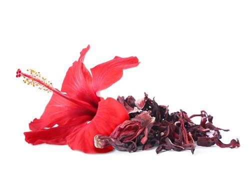 Hibiscus