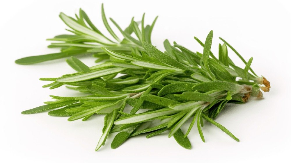 Rosemary