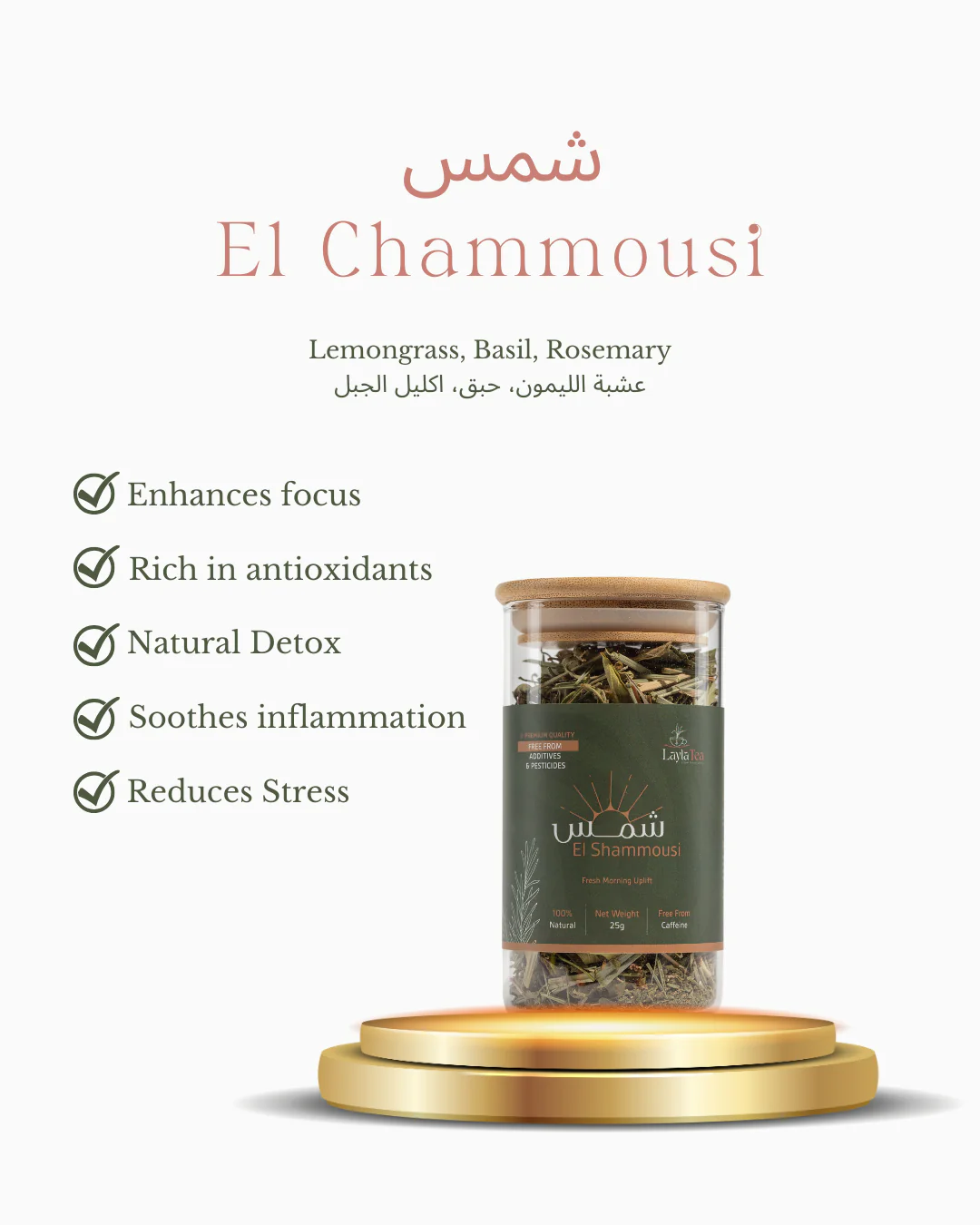 Shams El Shammousi